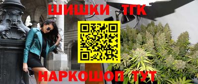 apvp Гусев