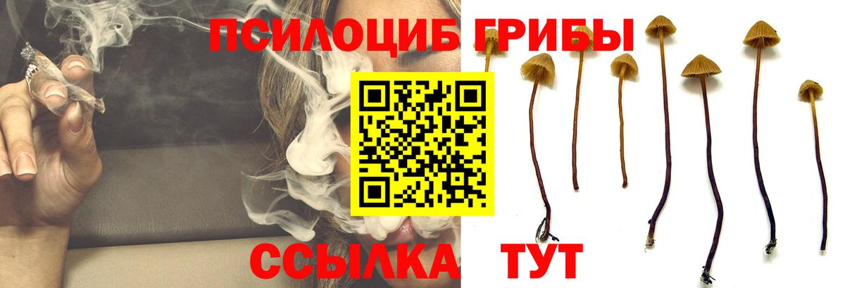 где продают наркотики  Псилоцибиновые грибы Cubensis  Вход с VPN  Муром  Галлюциногенные грибы Cubensis 